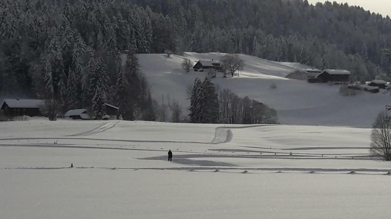 Ferienwohnung Bechter Hittisau Exterior foto